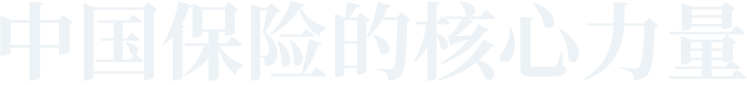 中国保险的核心力量